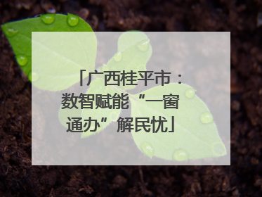 广西桂平市：数智赋能“一窗通办”解民忧